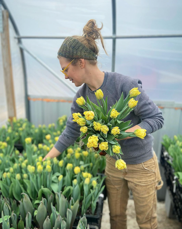 Jenny Elliott picking specialty tulips Copake, NY Tiny hearts Farm
